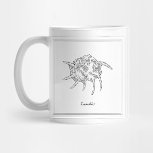 Lambis or Spider Conch. Retro style illustration. Mug